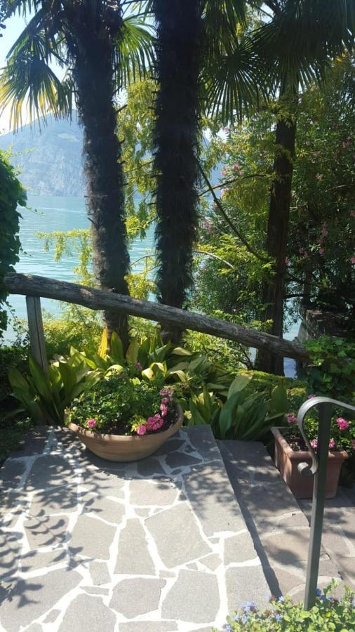 L'Oleandro Sul Lago D'Iseo B&B ซุลซาโน ภายนอก รูปภาพ