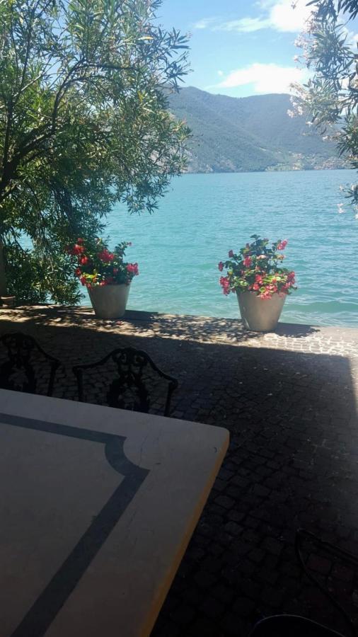 L'Oleandro Sul Lago D'Iseo B&B ซุลซาโน ภายนอก รูปภาพ