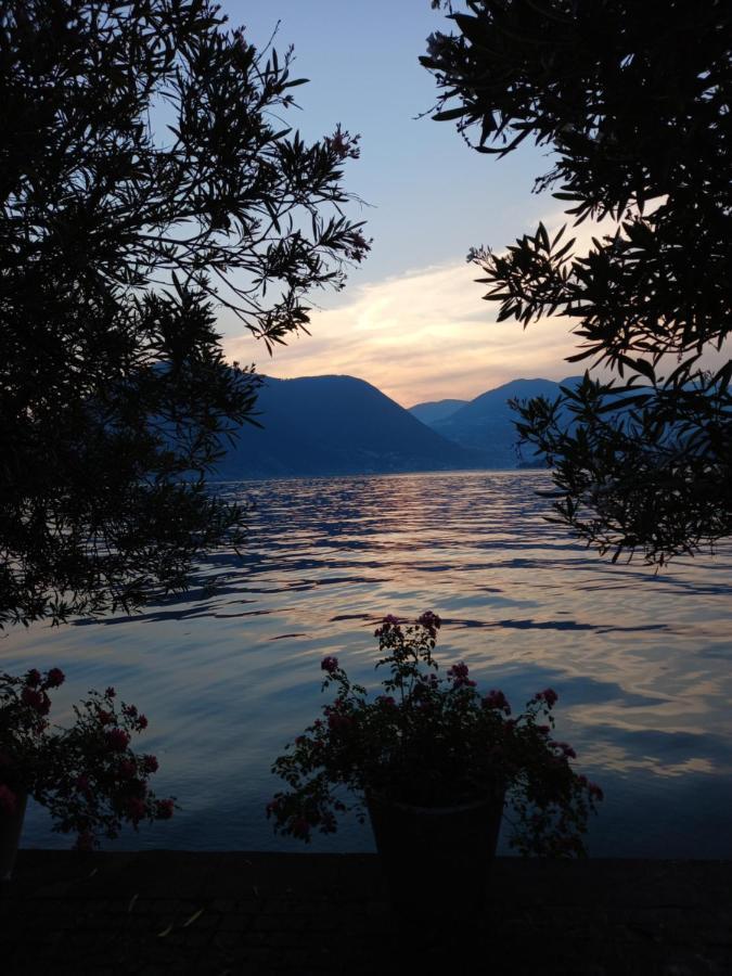 L'Oleandro Sul Lago D'Iseo B&B ซุลซาโน ภายนอก รูปภาพ