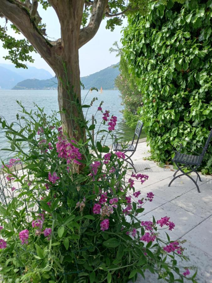 L'Oleandro Sul Lago D'Iseo B&B ซุลซาโน ภายนอก รูปภาพ