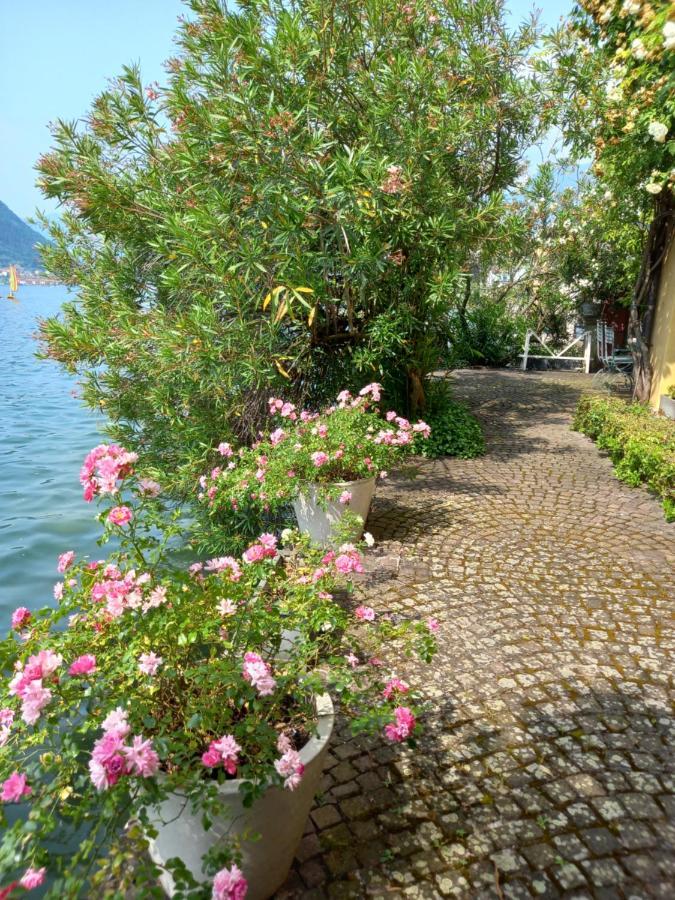 L'Oleandro Sul Lago D'Iseo B&B ซุลซาโน ภายนอก รูปภาพ