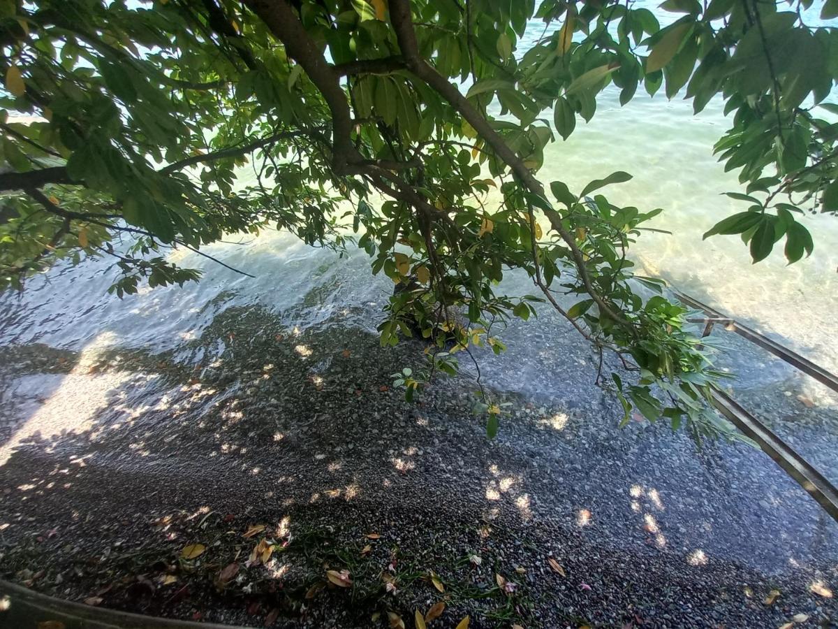 L'Oleandro Sul Lago D'Iseo B&B ซุลซาโน ภายนอก รูปภาพ