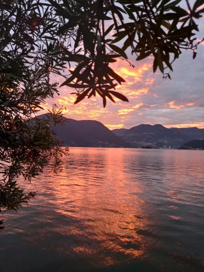 L'Oleandro Sul Lago D'Iseo B&B ซุลซาโน ภายนอก รูปภาพ