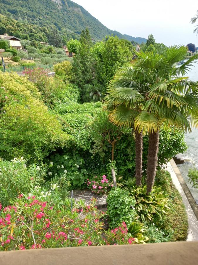 L'Oleandro Sul Lago D'Iseo B&B ซุลซาโน ภายนอก รูปภาพ