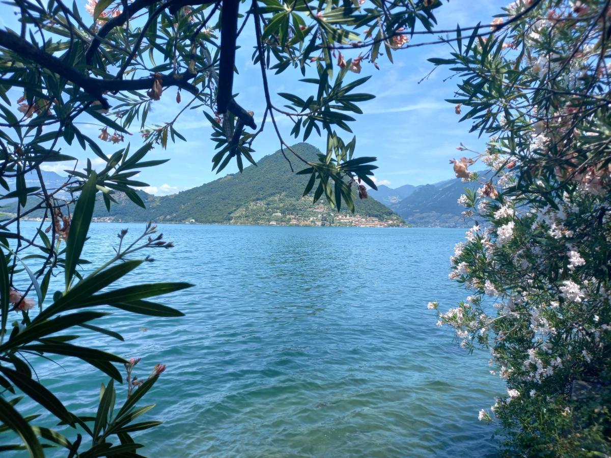 L'Oleandro Sul Lago D'Iseo B&B ซุลซาโน ภายนอก รูปภาพ