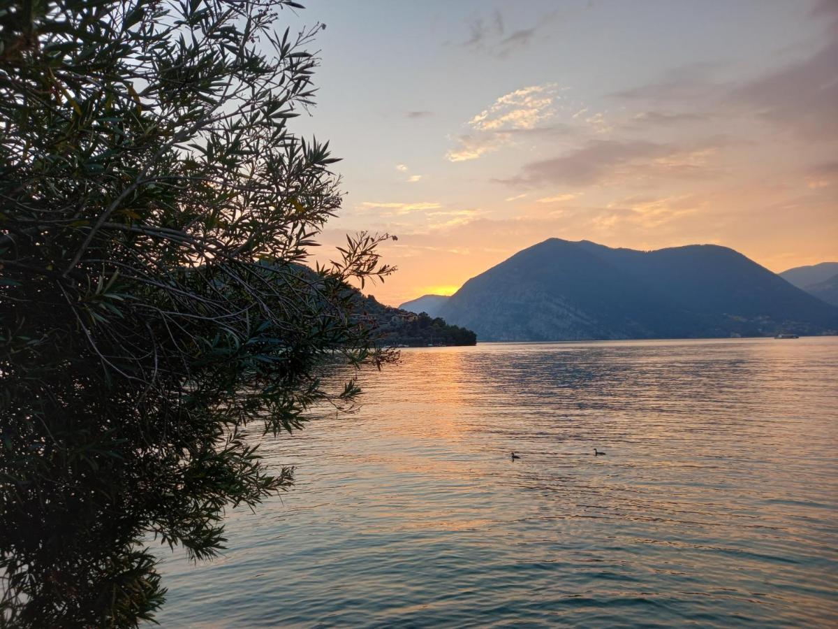 L'Oleandro Sul Lago D'Iseo B&B ซุลซาโน ภายนอก รูปภาพ